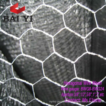 Stainless Steel Hexagonal Wire Mesh